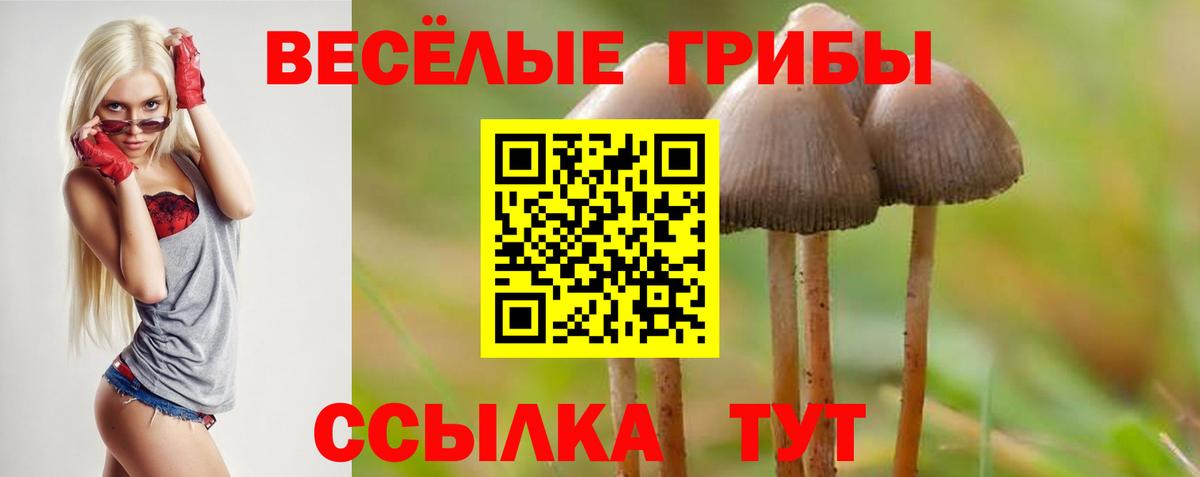 Псилоцибиновые грибы MAGIC MUSHROOMS Рубцовск